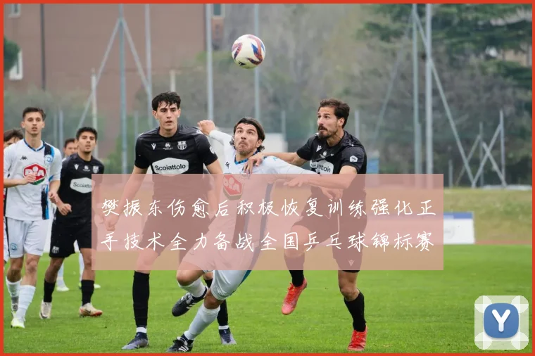 樊振东伤愈后积极恢复训练强化正手技术全力备战全国乒乓球锦标赛