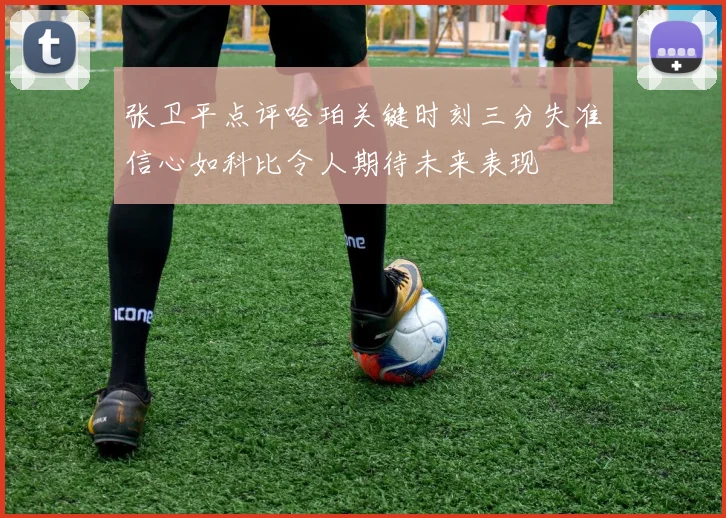 张卫平点评哈珀关键时刻三分失准信心如科比令人期待未来表现